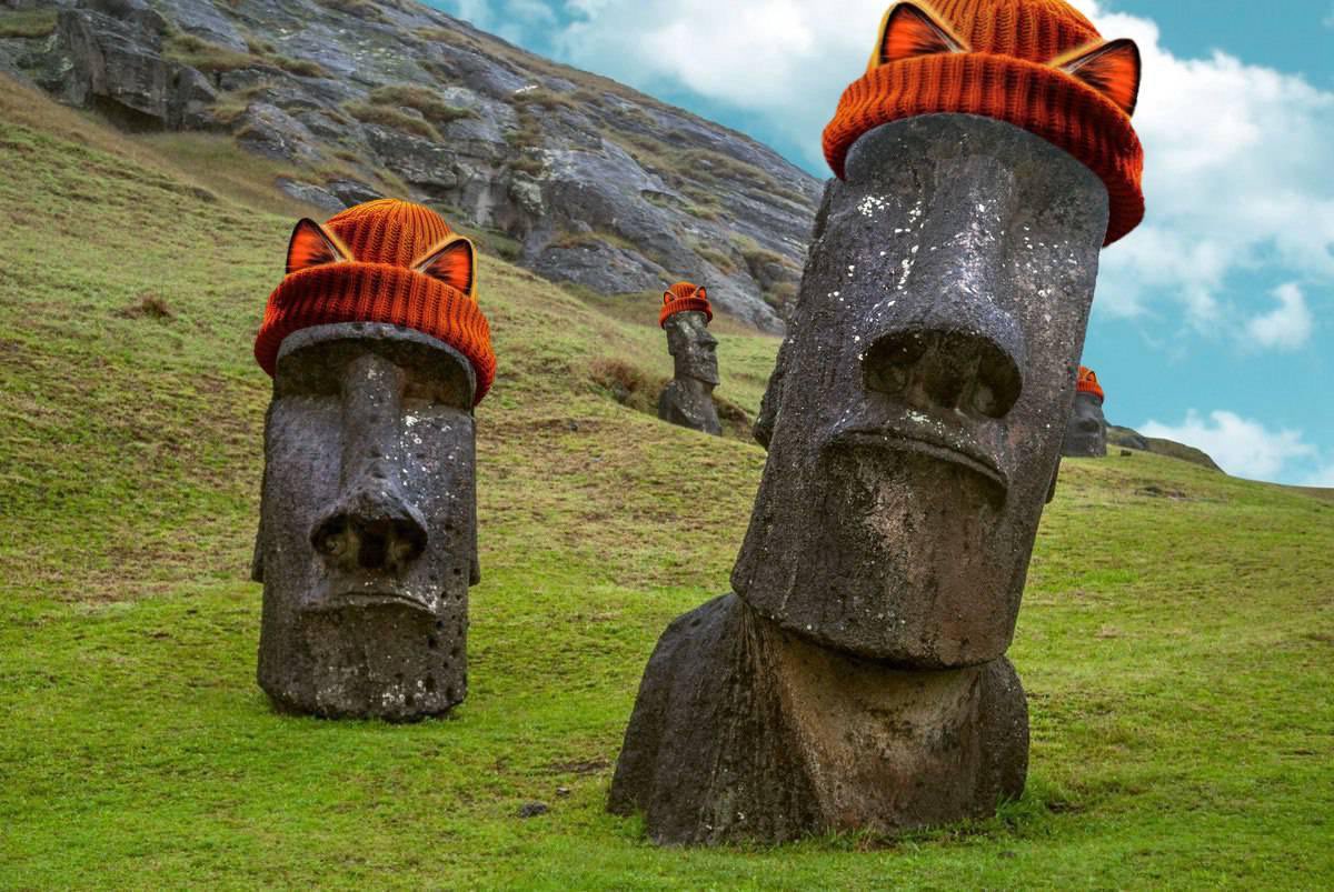 #MWD warms the whole world🚀🚀🚀