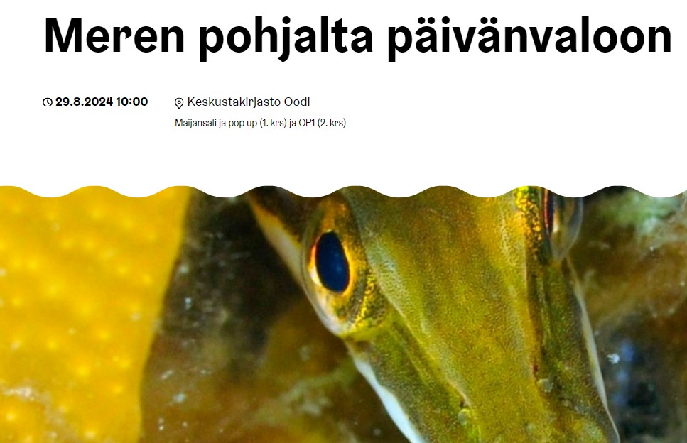 Markku Viitasalo (@viitasalomarkku) on Twitter photo 20-vuotias <a href="/VELMUohjelma/">VELMUohjelma</a> juhlii tänään synttäreitään #Oodikirjasto´ssa! Esityksiä meriluonnosta, Meren aarteet -lautapeli, virtuaalinen pakohuonepeli, kirjailijahaastattelu, paneelikeskustelu ym. #Itämeripäivä #meriluonto #merensuojelu oodihelsinki.fi/event/helsinki… 20-vuotias <a href="/VELMUohjelma/">VELMUohjelma</a> juhlii tänään synttäreitään #Oodikirjasto´ssa! Esityksiä meriluonnosta, Meren aarteet -lautapeli, virtuaalinen pakohuonepeli, kirjailijahaastattelu, paneelikeskustelu ym. #Itämeripäivä #meriluonto #merensuojelu oodihelsinki.fi/event/helsinki…