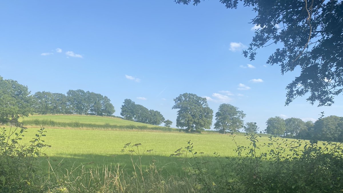 The #GreenBelt is #NotJustAPrettyPlace it's also a home for #wildlife and an ideal location for planting #trees and creating new #forests. Join our webinar on 12th September to find out about the history and future of the Green Belt: cpre-london.eventcube.io/events/61909/h…