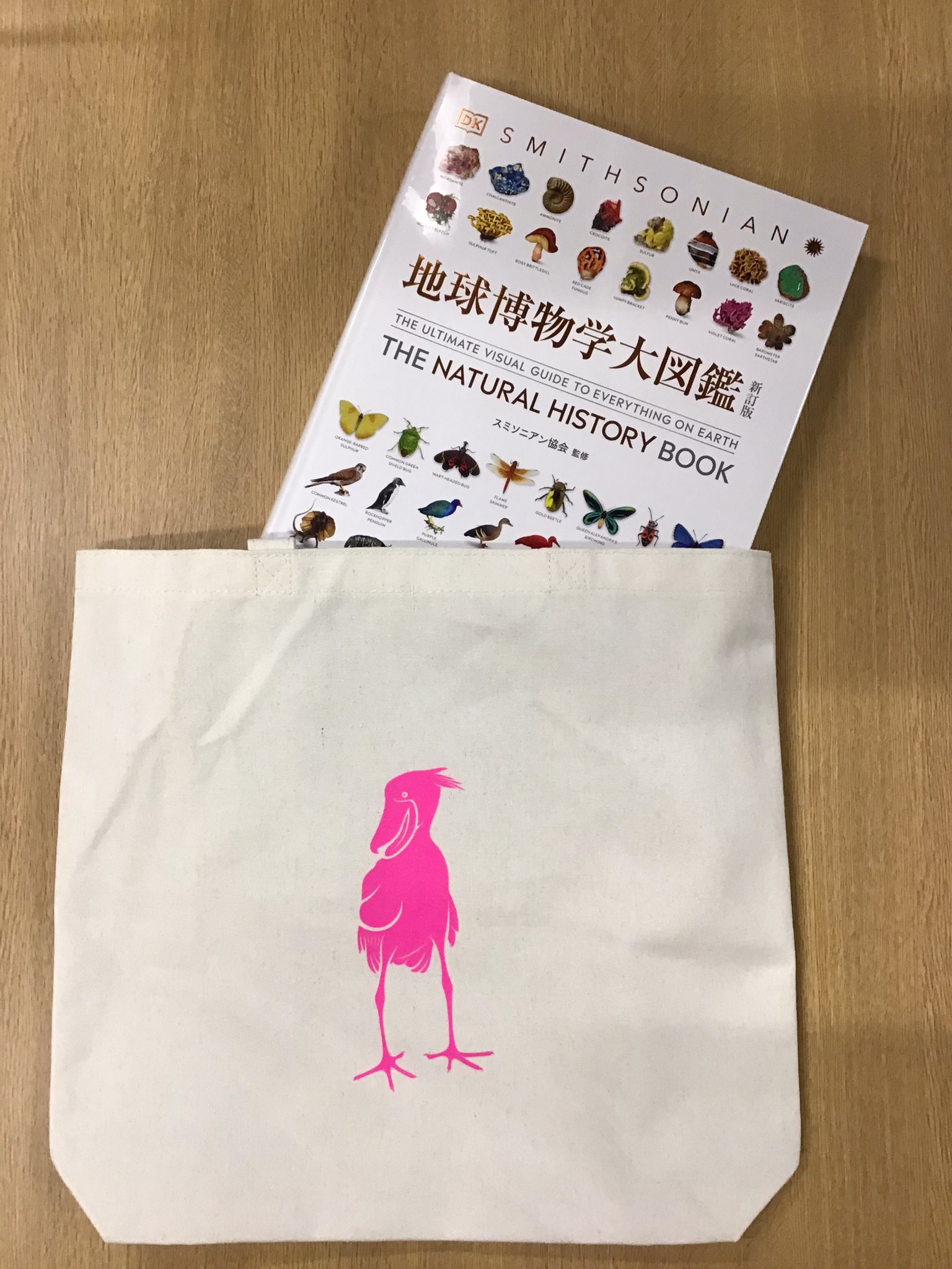 X-এ TSUTAYA BOOKSTORE_AIZU: X-এ TSUTAYA BOOKSTORE_AIZU: