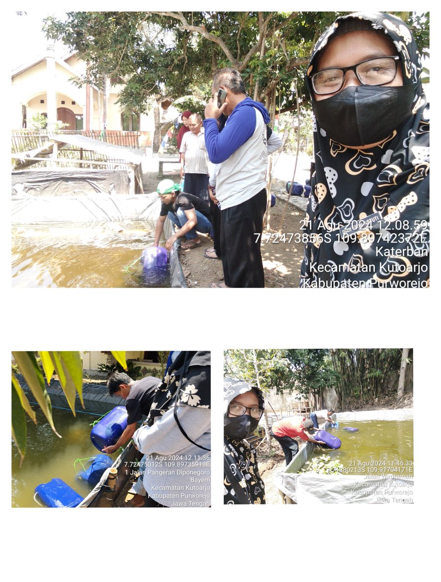 DyanfaAd's tweet photo. Rabu (21/08), Dian Fitri Astuti, Luhkan Kab. Purworejo, di Kelompok Mina Mulyo Kel. Katerban melakukan Pendampingan Tebar benih Gurame sbyk 1900ekor ukr 9-12cm, BP Th 2024 APBD 2.
@PKBLU_bp3tegal
@pusluhkp
@kkpgoid
#GiatLuhkanSatminkalTegal #Purworejo #Kegiatan https://t.co/71aIgkYRc2
