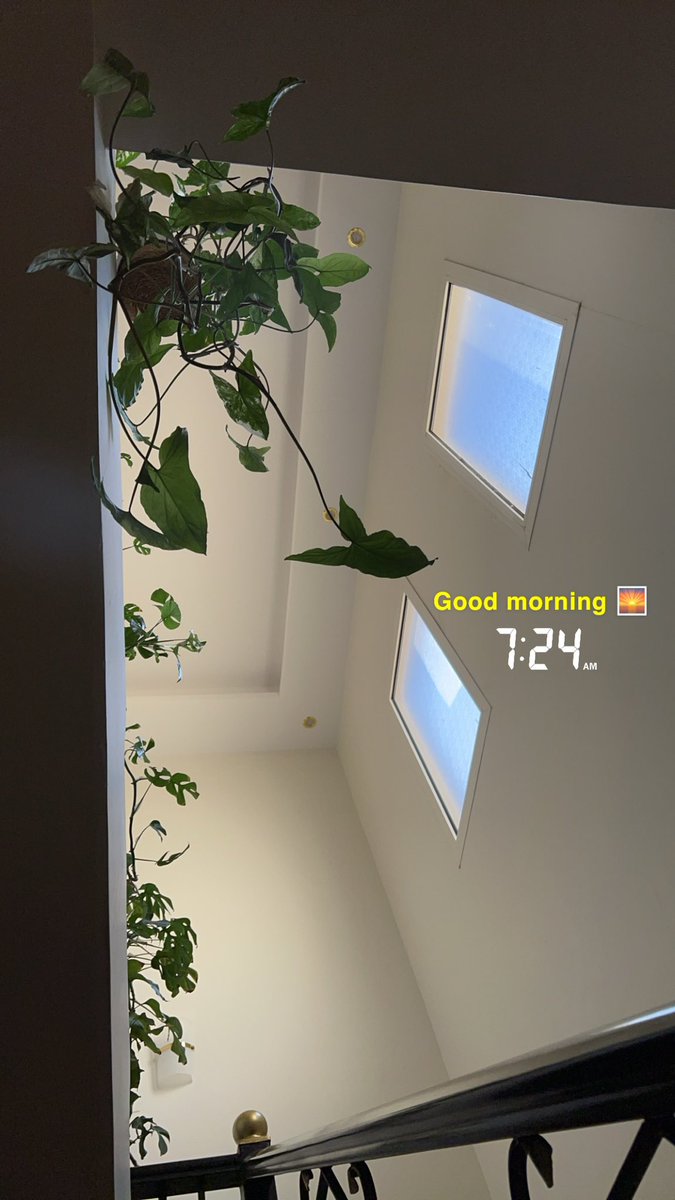 Mommy fit (@npt_ksa9) on Twitter photo فطور غير صحي في #archi مع الحب عشان ننكد عالمروقين من صباح الله خير 🌅🩵
وشكراً <a href="/ARCHI_SAUDI/">ARCHI | ارتشي</a> لأنكم فتحتوا في عرقة ❤️🔥 فطور غير صحي في #archi مع الحب عشان ننكد عالمروقين من صباح الله خير 🌅🩵
وشكراً <a href="/ARCHI_SAUDI/">ARCHI | ارتشي</a> لأنكم فتحتوا في عرقة ❤️🔥