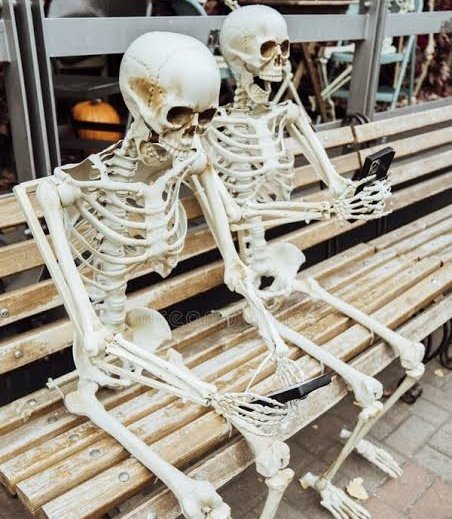 cryptoquween's tweet image. Nkechi and Ebuka Waiting for DOGS price to dump so they can buy back