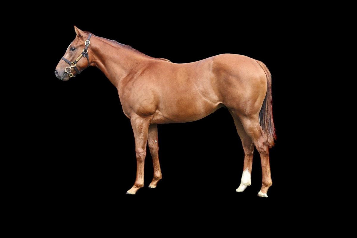 Tracy Vigors tweet media