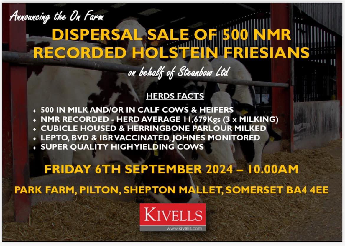Just under a week to go until the sheds fall silent as we say goodbye to our Park Dairy herd with <a href="/KivellsAgri/">Kivells Agriculture</a> joining us on farm 06.09.24 10am. 

Refreshments will be available so if you’re travelling from afar to purchase some of our first class cows you won’t go hungry!