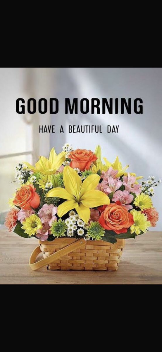 🌲🌲🌲🌲🌲🌲🌲🌲