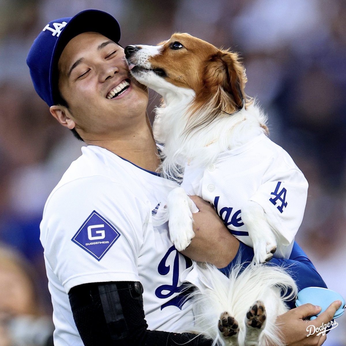 What a night. 💙

Shohei and Decoy Bobblehead Night presented by Daiso.