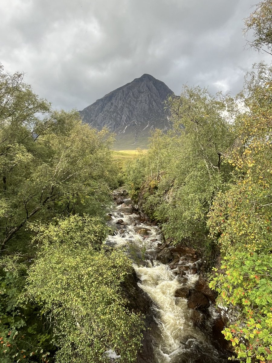 Peter Fallon tweet media