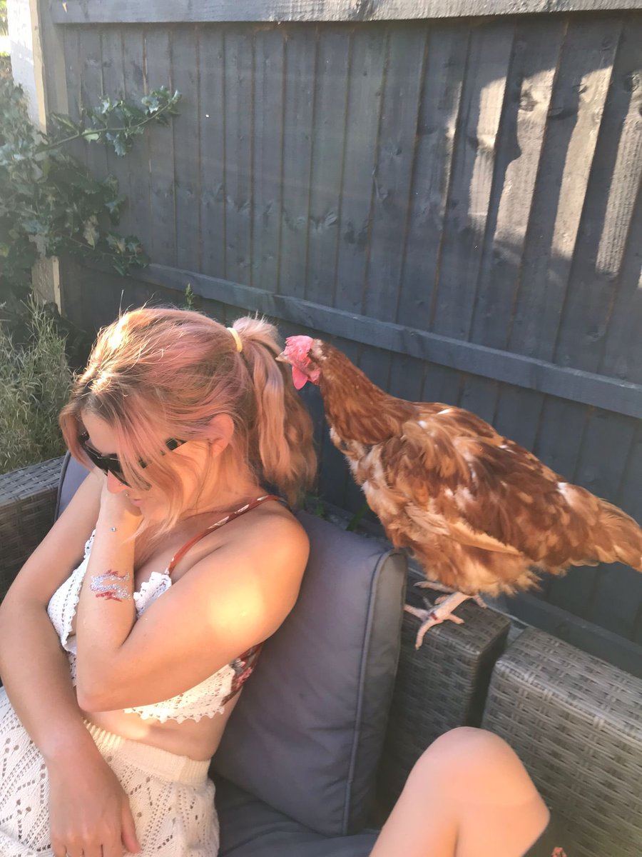 Dr Poppy Gibson tweet media