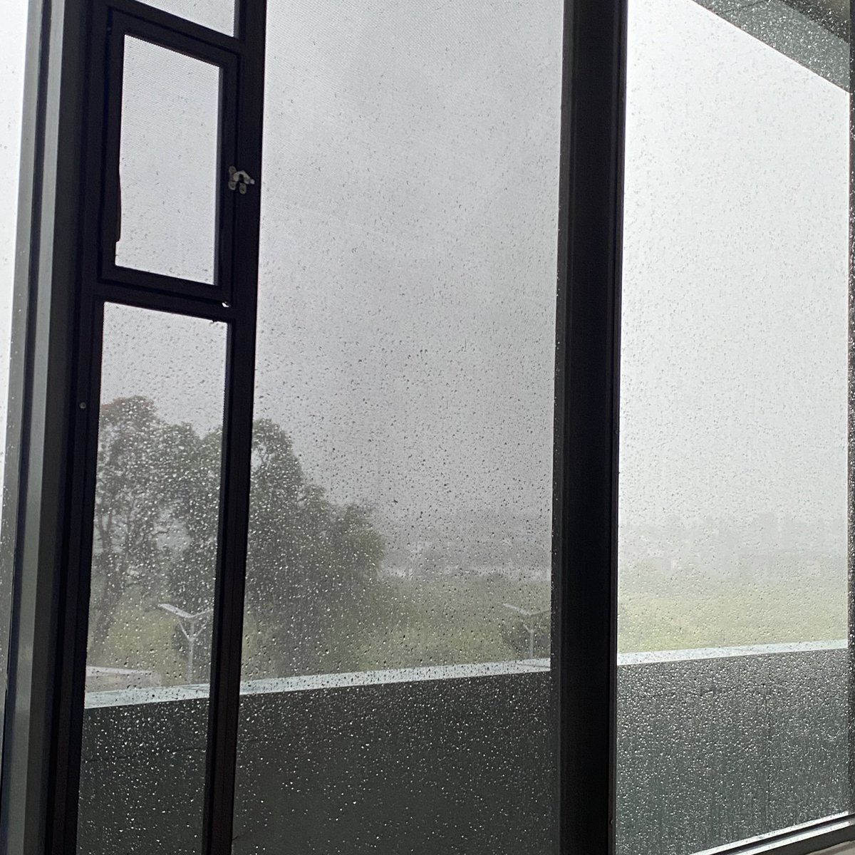 bookwormdaily's tweet image. raining and i’m reading