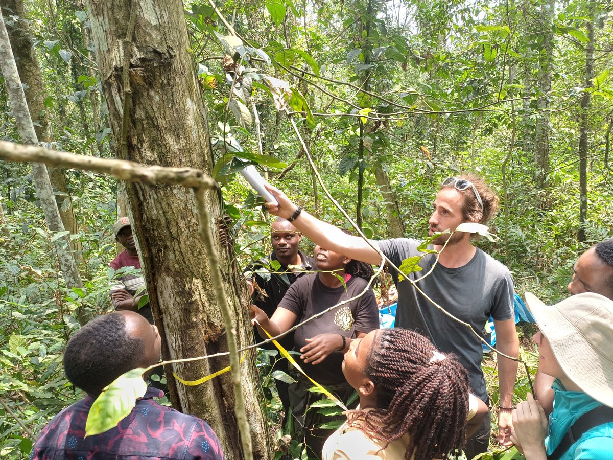 Sebastian Doetterl tweet media