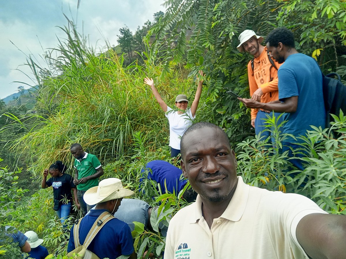 Sebastian Doetterl tweet media