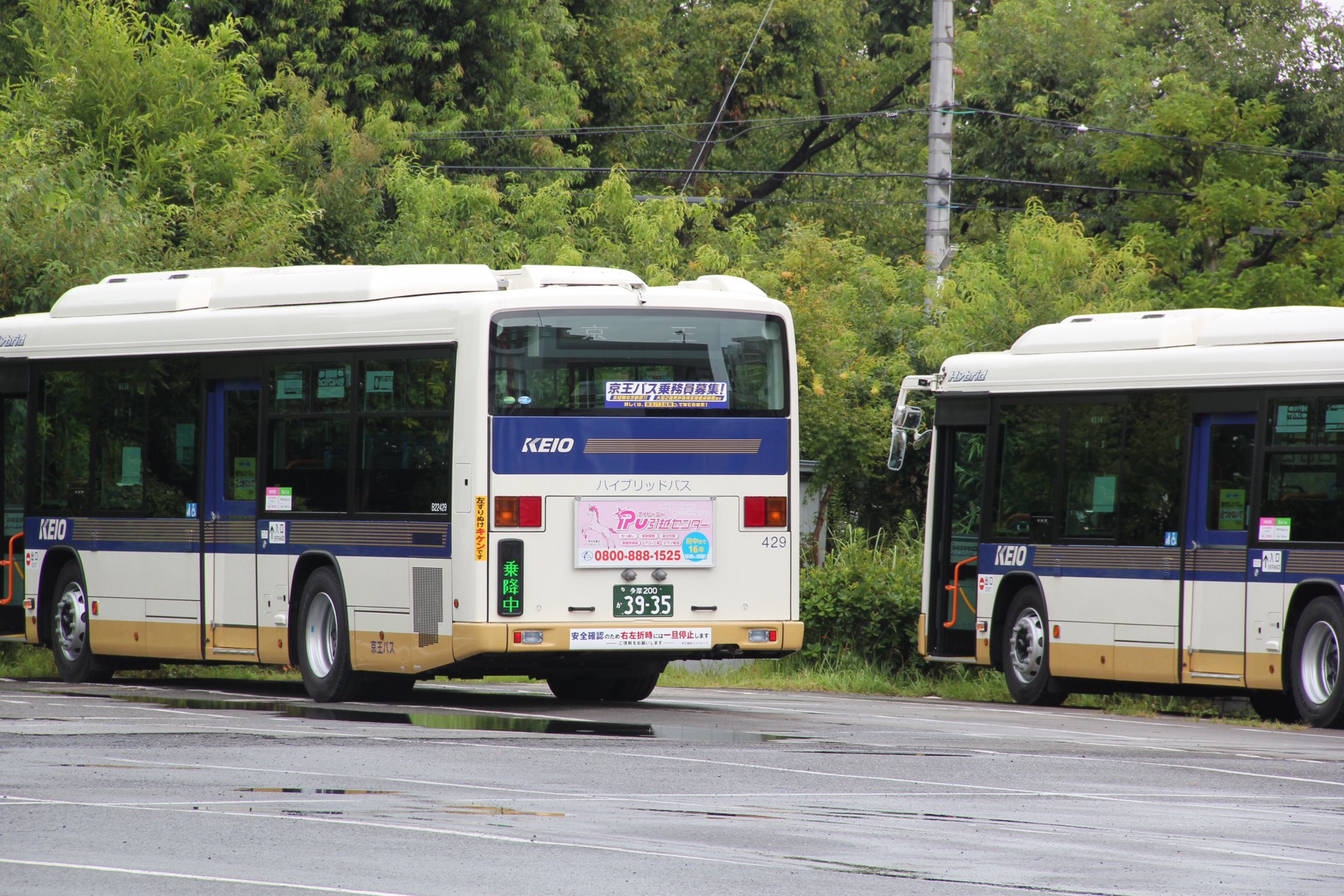 KDS 京電桜 on X: 