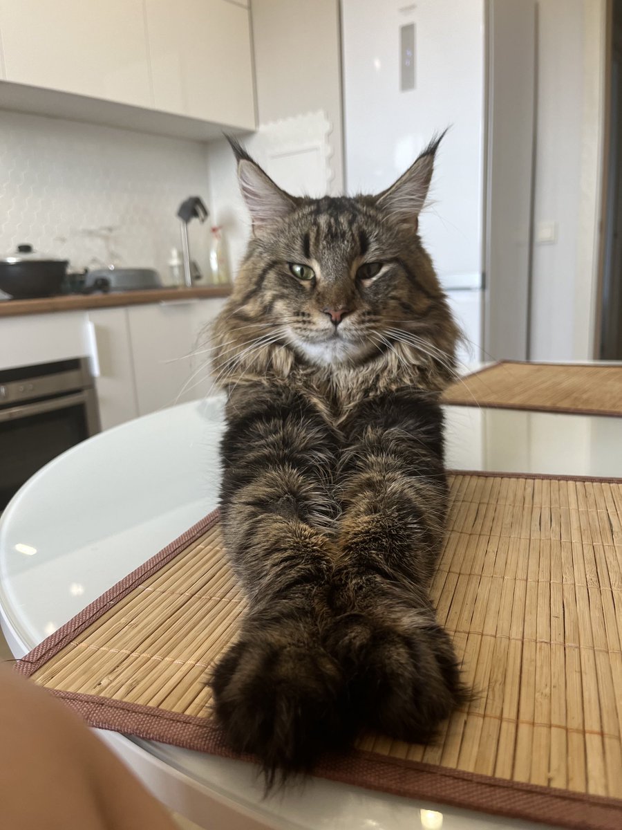 дефолтный куня из инсты