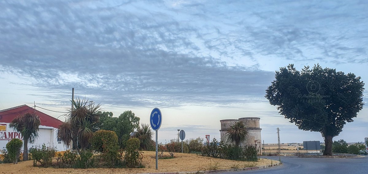 madorobla's tweet photo. #Azuaga, 28/08 Amanecer con cambios visibles en el cielo
Una capa de hermosas nubes Asperitas cubre parcialmente el horizonte, regalándonos un espectáculo nuboso único

@davidlopezrey
@carlos_benito
@mairodrigz
@ondacerosurextr 
@tiempobrasero
@Tiempo_Mercedes
#tiempoextremadura https://t.co/oInsjbRb2x