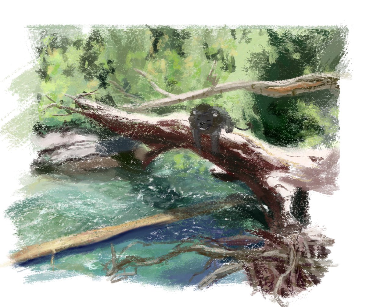 Lion at the Creek