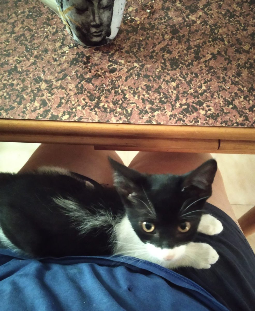 Fernando tweet media