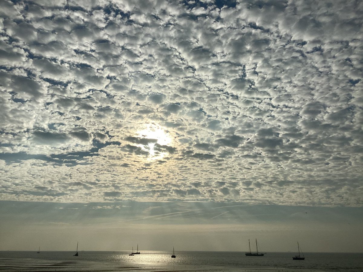 Ochtendschilderij op #Richel #waddenzee