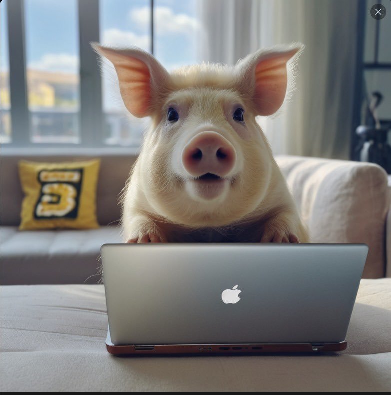 Just got my hooves on the latest crypto trends! 

💸 $PIGS is mooning! 

Don't get left in the mud, stay ahead of the herd! 🐖 

Probably a big deal...

 #PIGS #Crypto #Airdrop