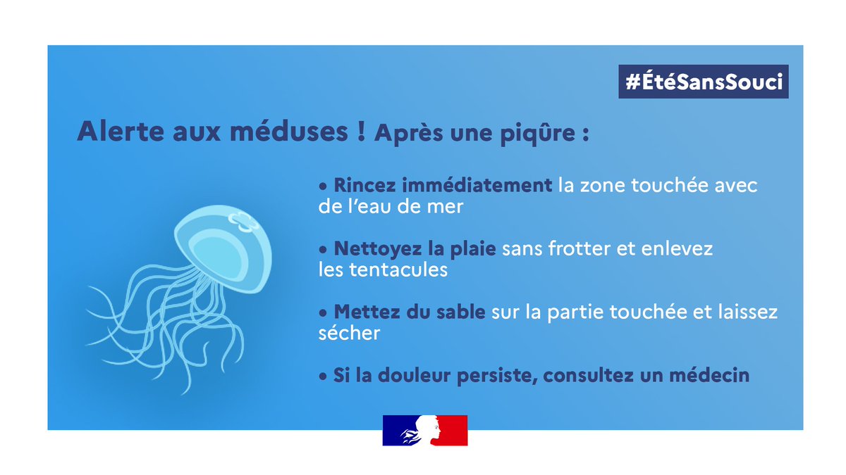 #ÉtéSansSouci ☀ | Faut-il vraiment uriner sur une piqûre de méduse ? 

Retrouvez quelques conseils utiles : sante.gouv.fr/prevention-en-…