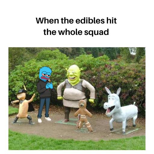 When the edibles hit the whole squad... 😂🌿 

That's $STONIE holders when there was too much FUD in the MAIN TG last night.
