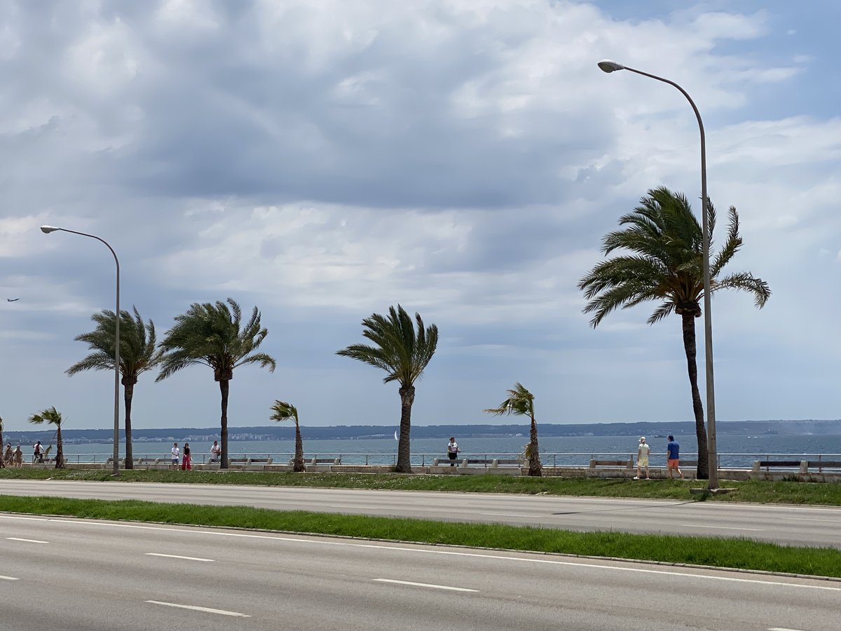 dasinselradio's tweet image. Laut Aemet soll es in den kommenden vierzehn Tagen auf den Balearen überdurchschnittlich viel Regnen. Das könnte sich auch auf die Balearen mit Tiefdruckgebieten und starken Stürmen auswirken. #mallorca #wetter #spetember #regen #sturm #tiefdruckgebiet inselradio.com/aktuell/news/l…