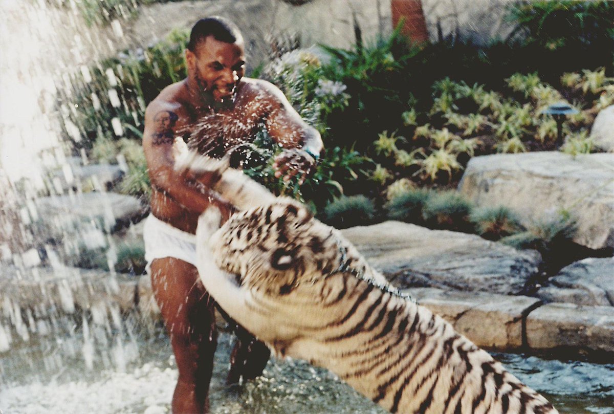 Mike Tyson avec son tigre blanc, dans sa villa de Las Vegas, en 1996.