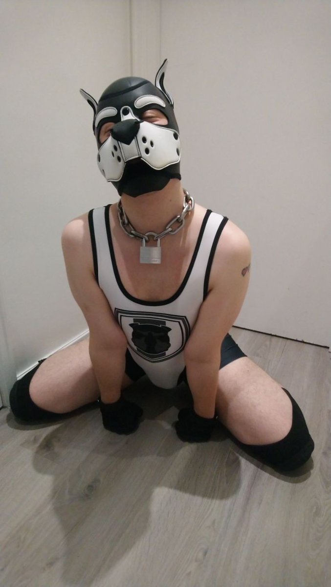 goose - inactive tweet media