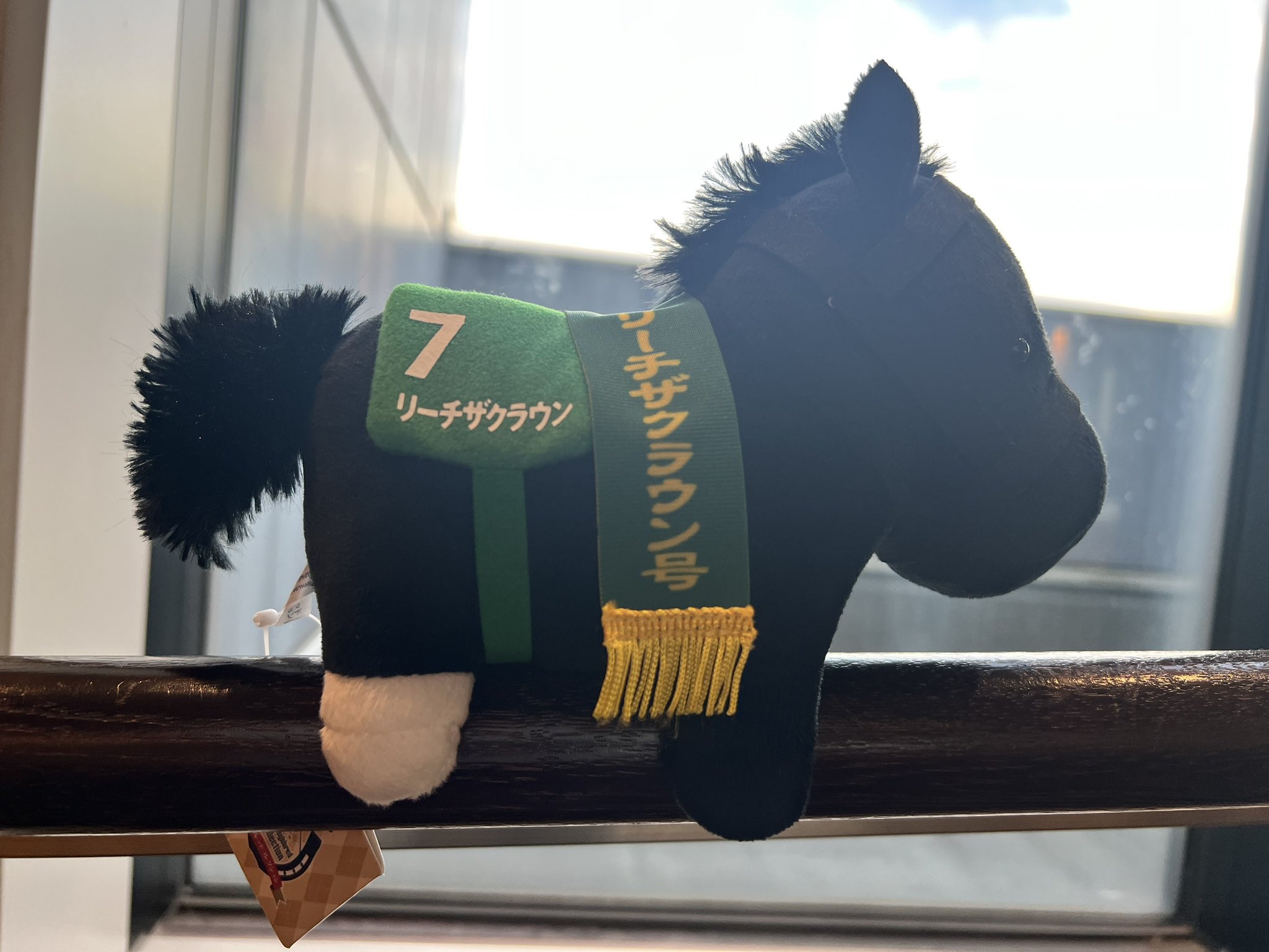 サラブレッドコレクッション 全12個