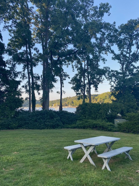 Ludovica Guetta (@ludovicaguetta) on Twitter photo Same poster - new conference!😎Had an amazing time at #cshlglia last week, discussing exciting glia research and enjoying the views at <a href="/CSHL/">Cold Spring Harbor Laboratory</a>. Same poster - new conference!😎Had an amazing time at #cshlglia last week, discussing exciting glia research and enjoying the views at <a href="/CSHL/">Cold Spring Harbor Laboratory</a>.