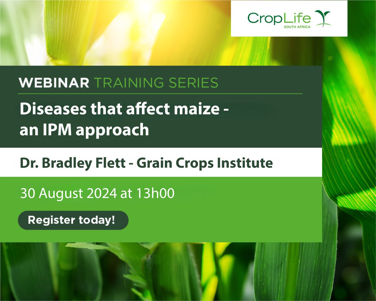 ‼️ REMINDER TO REGISTER ‼️
📹 Diseases that affect maize - an IPM approach by Dr. Bradley Flett (Grain Crops Institute)
📆 30 August 2024
🕐 13h00
✍️ Register here: events.teams.microsoft.com/event/370ca67d…