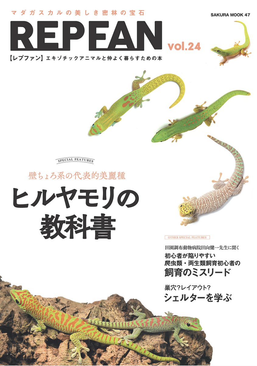 月光堂も特集の一部に掲載していただいています。

読者投稿写真の中にいくつか月光堂のシェルターがあったのがとても嬉しかったです。
投稿してくださった皆様、ありがとうございました！