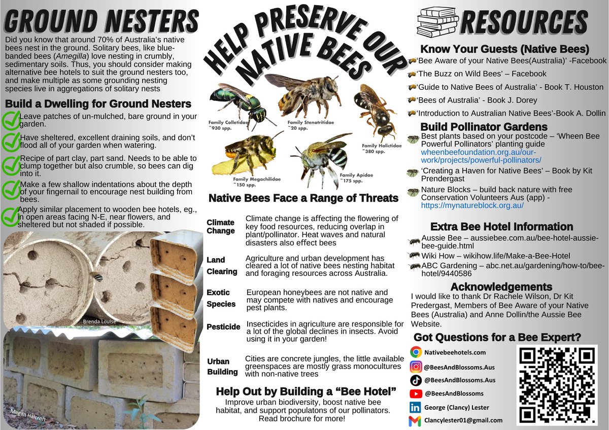 🌼🐝 Spring is here, and it's the perfect time to create a buzz-worthy bee hotel in your garden! Follow these tips to make a bee-friendly habitat: