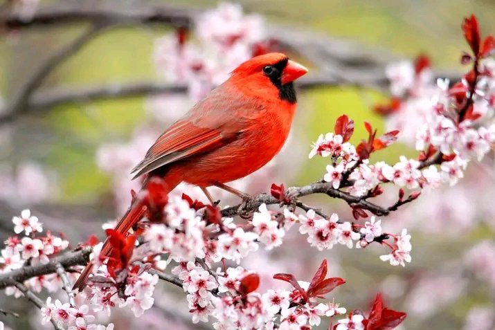 Henry Lucas (@henrylucas0705) on Twitter photo 