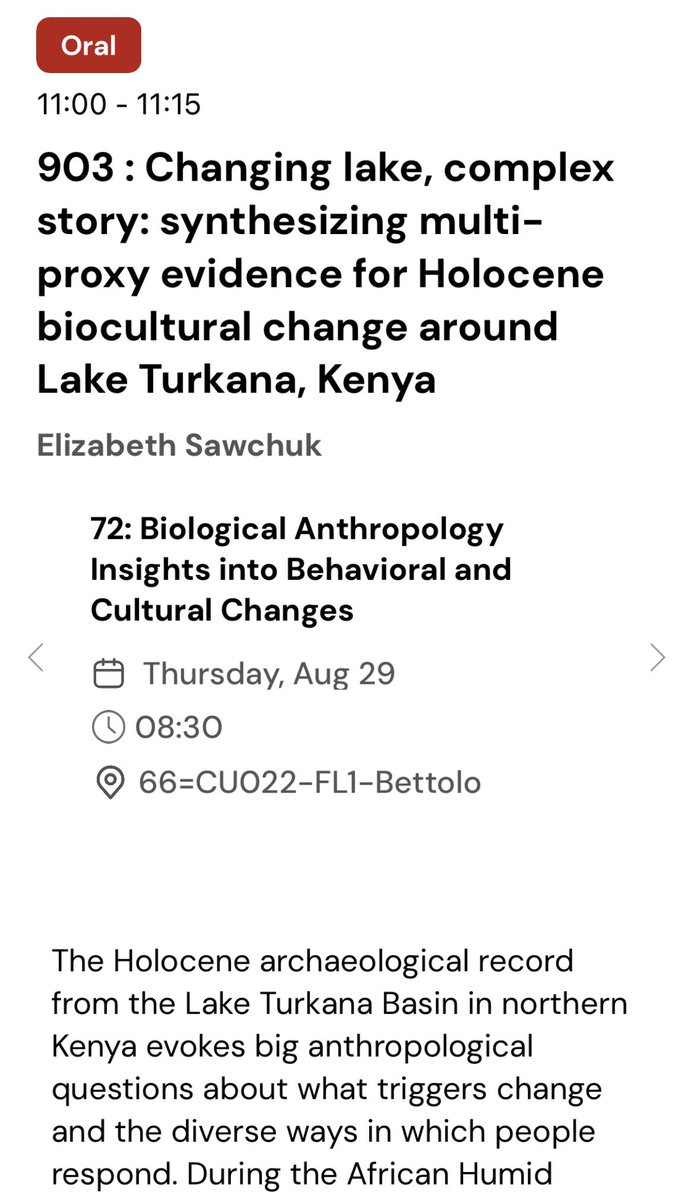 palaeobeth's tweet image. Holla #EAA2024, talking about Turkana at 11am this morning in Rome! Come check it out ✌️ #Archaeology #AfricanArchaeology
