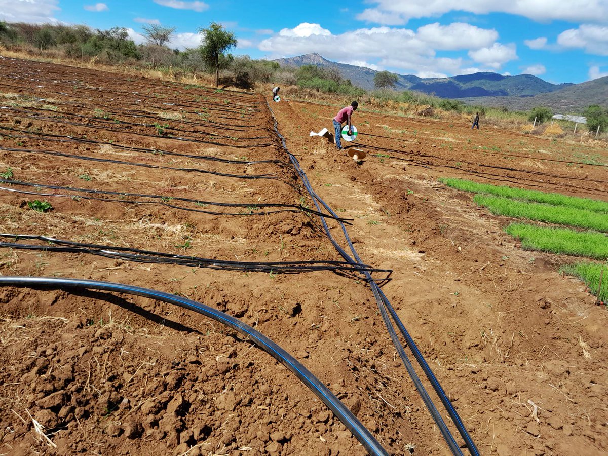 Good morning. 
Our team is in Maili Tisa, Kajiado installing a 3 acre drip irrigation system for Onion farming.