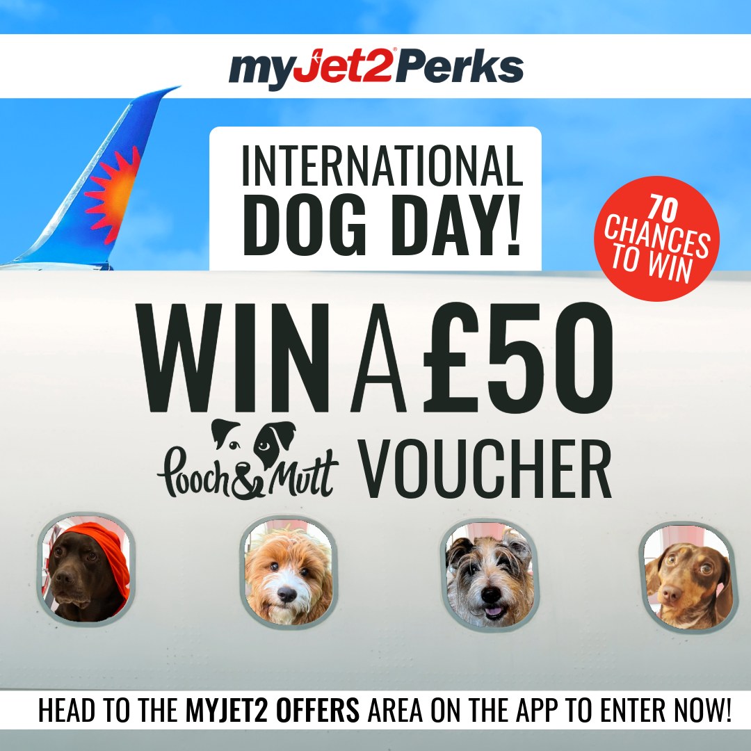 Jet2tweets tweet media
