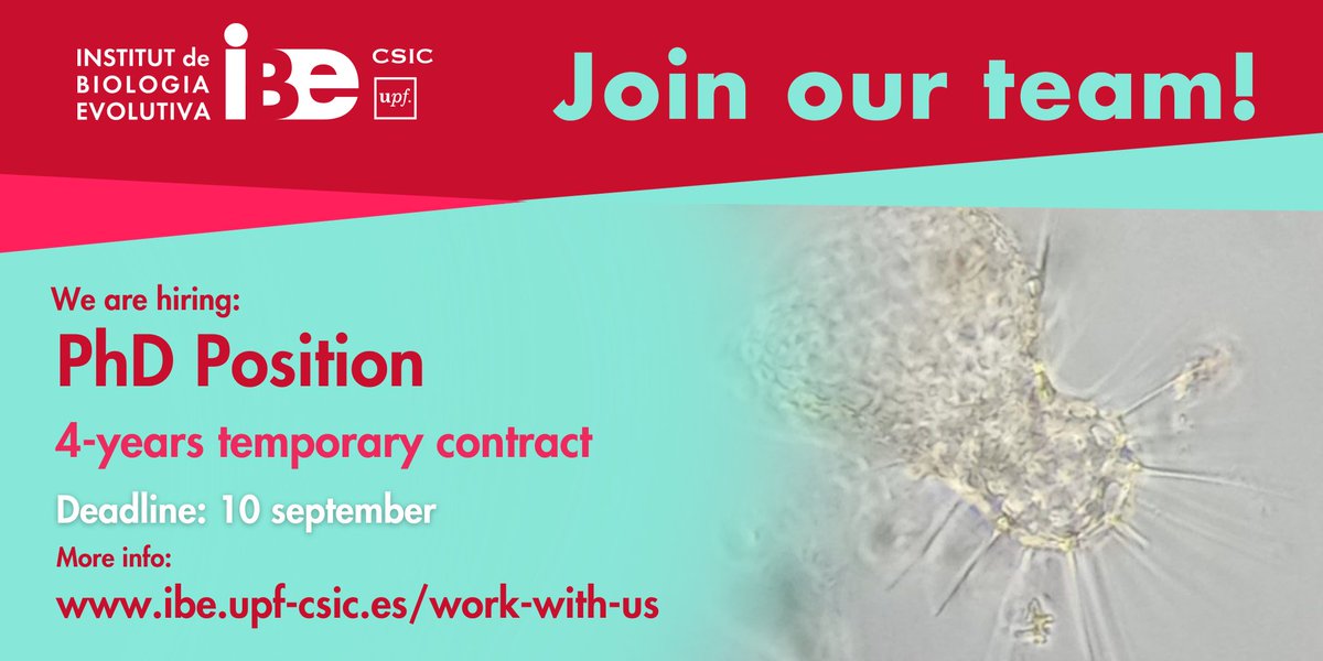 Institute of Evolutionary Biology (IBE) (@ibe_barcelona) on Twitter photo 📣Last days to apply!📣
3️⃣ PhD student positions at the <a href="/IBE_Barcelona/">Institute of Evolutionary Biology (IBE)</a> research groups of <a href="/multicellgenome/">Iñaki Ruiz-Trillo</a> , <a href="/beaplab_ibe/">BEAP Lab (Biology & Ecology of Abundant Protists)</a> and <a href="/delCampoLab/">del Campo Lab</a>.🧬🦠🤿
🗓️ Apply before september 10th-15th and #JoinOurTeam!🤩
👉 ibe.upf-csic.es/work-with-us/j… 📣Last days to apply!📣
3️⃣ PhD student positions at the <a href="/IBE_Barcelona/">Institute of Evolutionary Biology (IBE)</a> research groups of <a href="/multicellgenome/">Iñaki Ruiz-Trillo</a> , <a href="/beaplab_ibe/">BEAP Lab (Biology & Ecology of Abundant Protists)</a> and <a href="/delCampoLab/">del Campo Lab</a>.🧬🦠🤿
🗓️ Apply before september 10th-15th and #JoinOurTeam!🤩
👉 ibe.upf-csic.es/work-with-us/j…