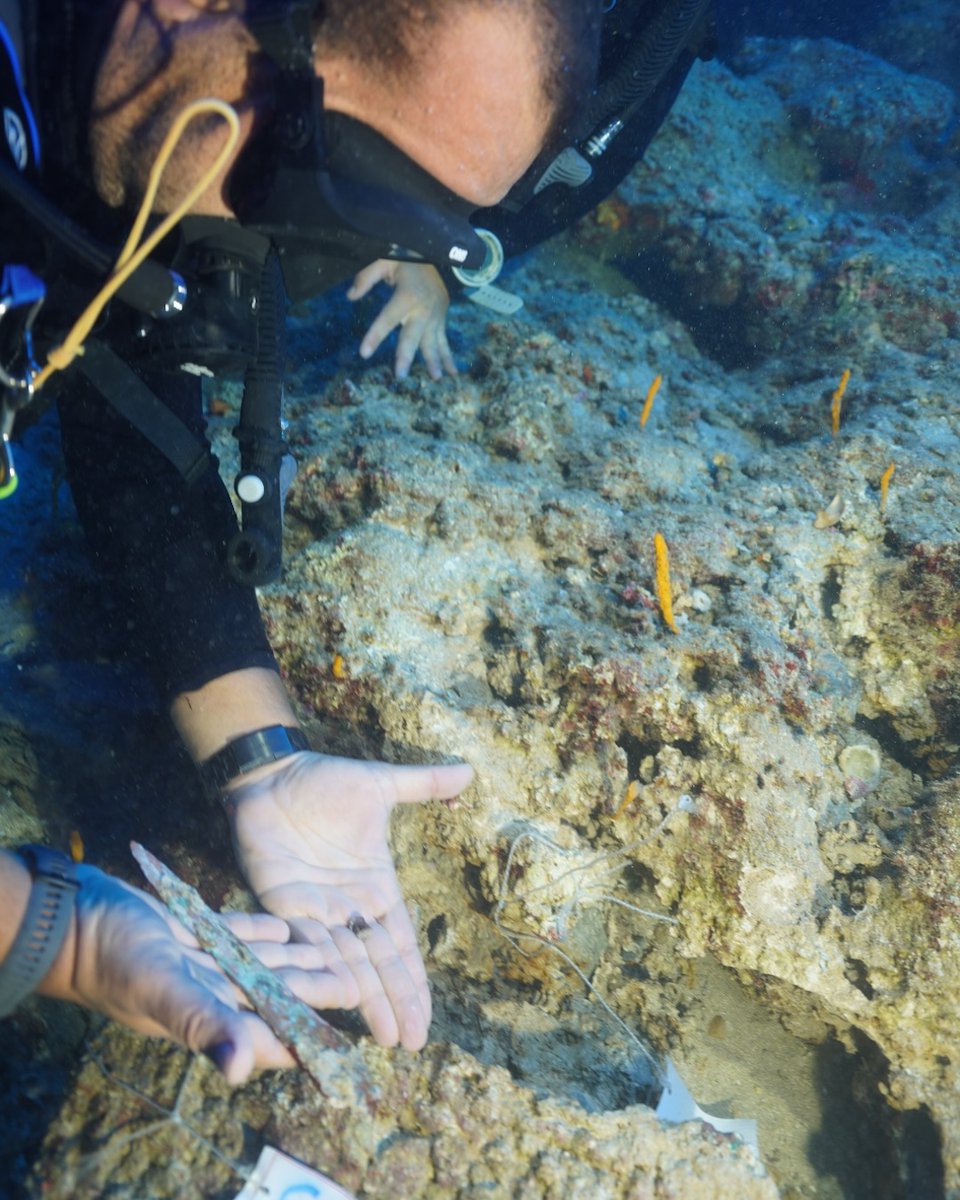 arkeofili tweet media