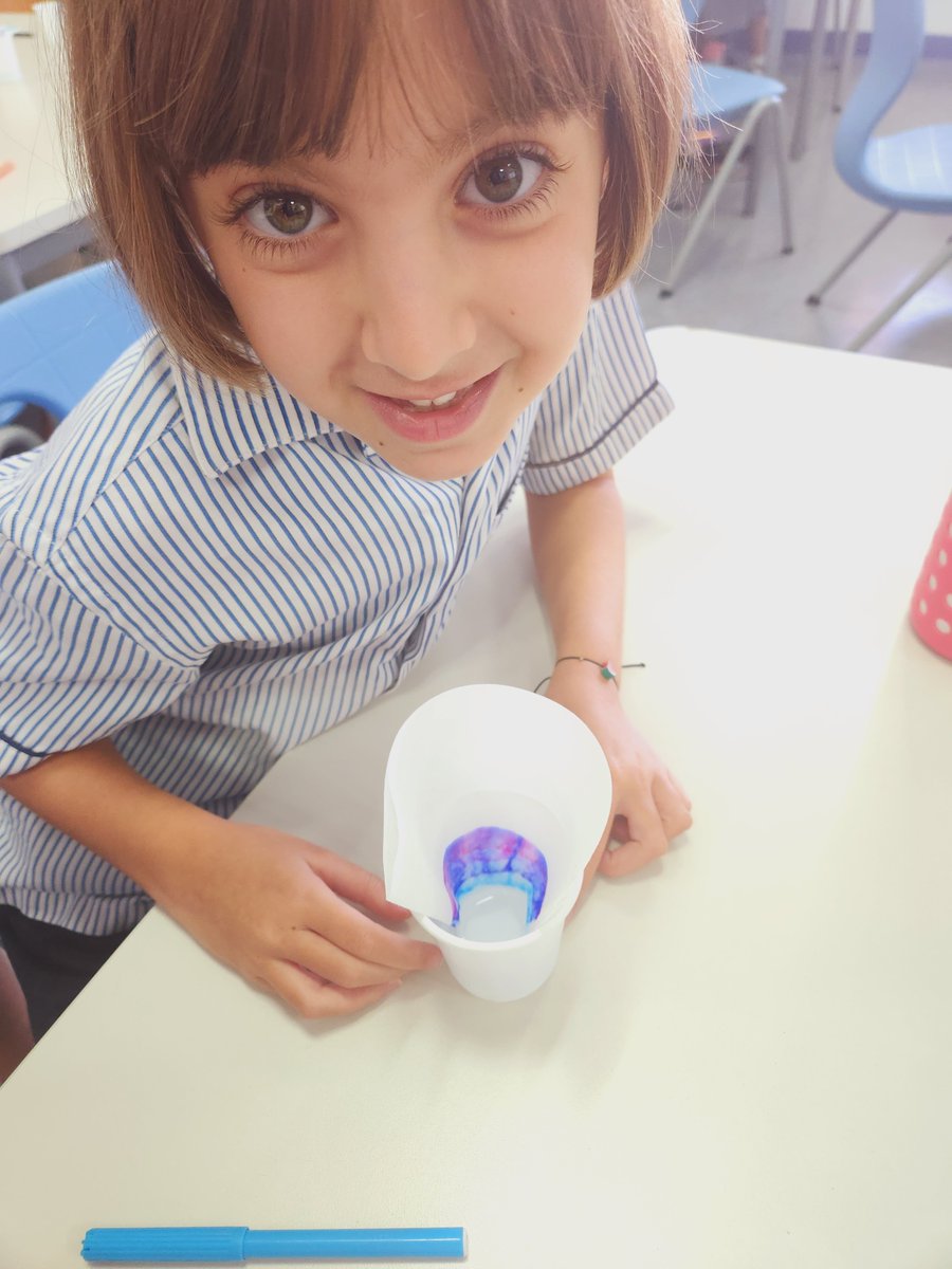 Primary Science | Dubai British School tweet media