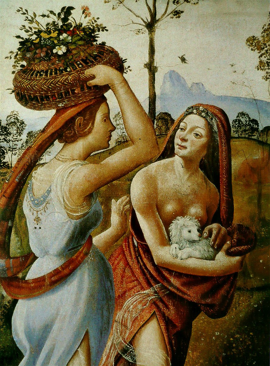 maype7's tweet photo. @GiuseppeTurrisi @CdeChantilly @Asamsakti @LuciaTassan @Biagio960 @dianadep1 @redne2013 @yebosfaye @marmelyr @commence_vie @albertopetro2 @BrindusaB1 @ceconomou56 @agustin_gut @alecoscino @lagatta4739 @Rebeka80721106 @PasqualeTotaro @scastaldi9 @mariatontini1 @AlessandraCicc6 @HeinzRudolf155 #PieroDiCosimo (1462-1522)
Vulcain Shot (detail) https://t.co/qzd6PM1ujJ