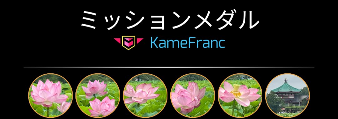 kameron_136's tweet photo. 台風前に｢#IngressDispatch｣を済ますべく、東京都台東区の上野公園周辺でミッションをプレイしてきました。ずっと曇り空でそこまで暑くない日で助かりましたﾜｧ(´-ω-｀) 蓮の花の見頃は過ぎてしまいましたね……😢
｢上野・不忍池　蓮池を回る｣#かめぐれす
https://t.co/PfT5ZiOO55 https://t.co/uAD1tRGmaI