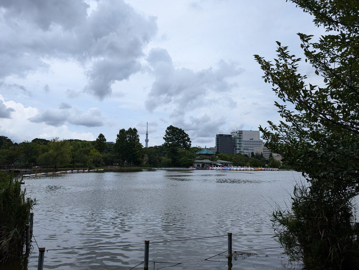 kameron_136's tweet photo. 台風前に｢#IngressDispatch｣を済ますべく、東京都台東区の上野公園周辺でミッションをプレイしてきました。ずっと曇り空でそこまで暑くない日で助かりましたﾜｧ(´-ω-｀) 蓮の花の見頃は過ぎてしまいましたね……😢
｢上野・不忍池　蓮池を回る｣#かめぐれす
https://t.co/PfT5ZiOO55 https://t.co/uAD1tRGmaI