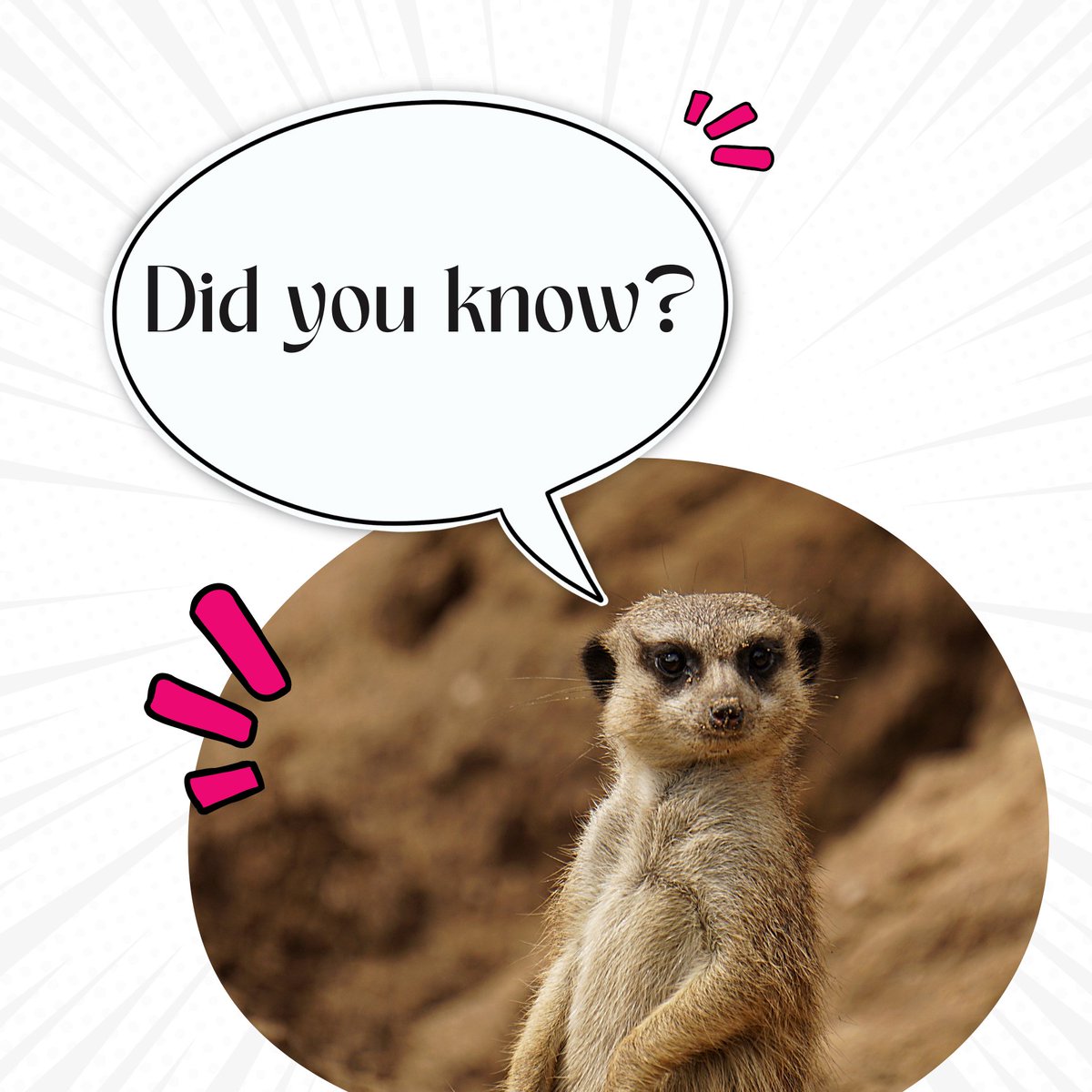 Did you know? 🤔
#Pulsars can spin up to 716 times per second. This is 1,5 times faster than a regular kitchenblender.