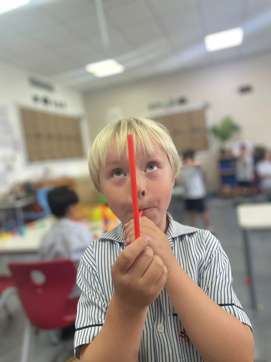 Primary Science | Dubai British School tweet media