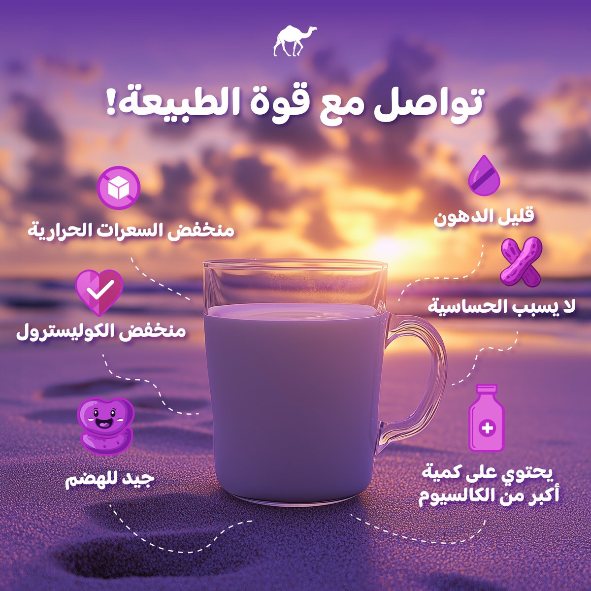 Camelicious tweet media