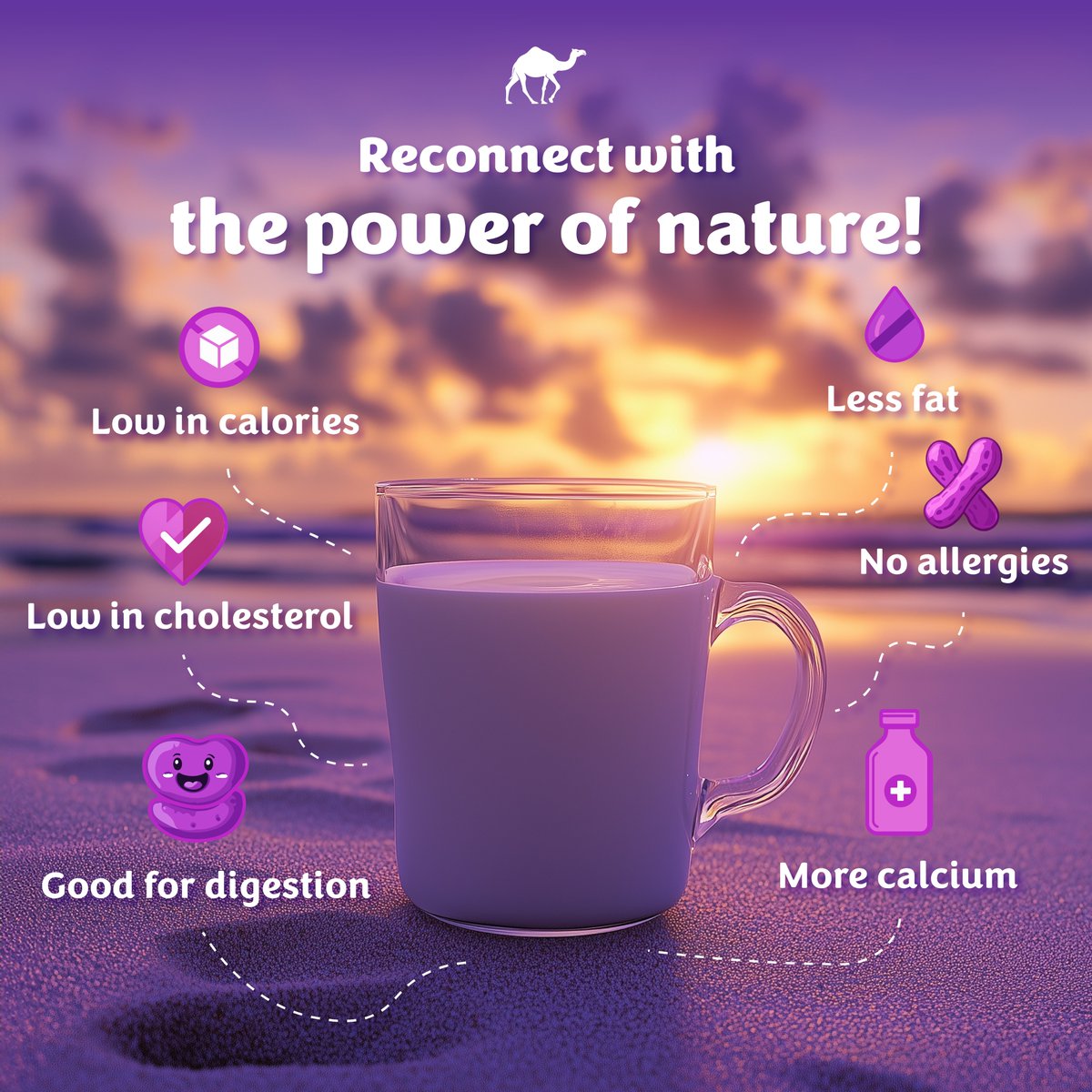 Camelicious tweet media