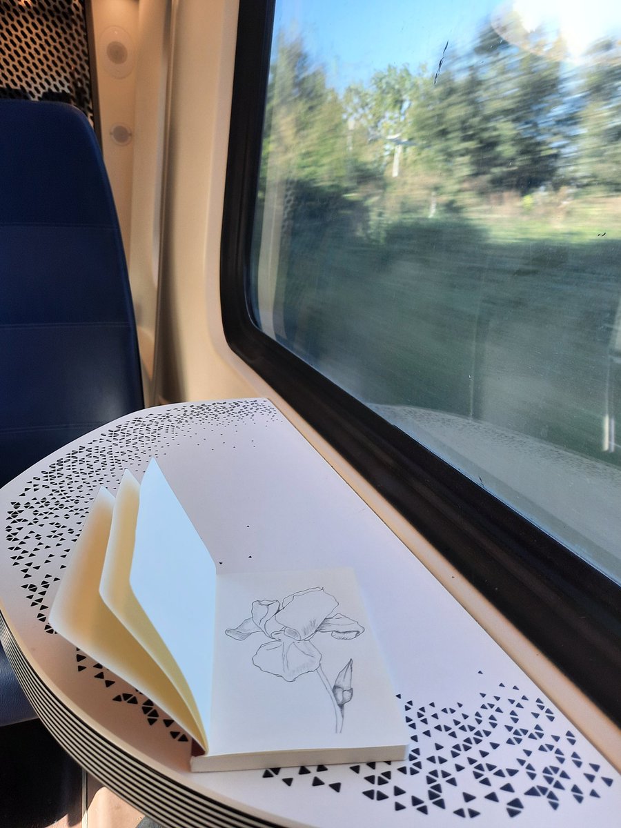 Nie gemakkelijk nie, in de trein een strakke lijn. #treinleven #sketching #DrawingAugust #drawgust