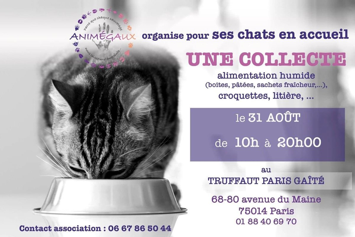 Ce samedi 31 aout pour tous nos chats et chatons en accueil ainsi que nos chats libres, le magasin <a href="/Truffaut/">Truffaut</a> Paris Gaité nous accueille pour une collecte (alimentation humide, croquettes, litière, …)

Venez nombreux pour les aider!

#collecte #chats #protectionanimale
