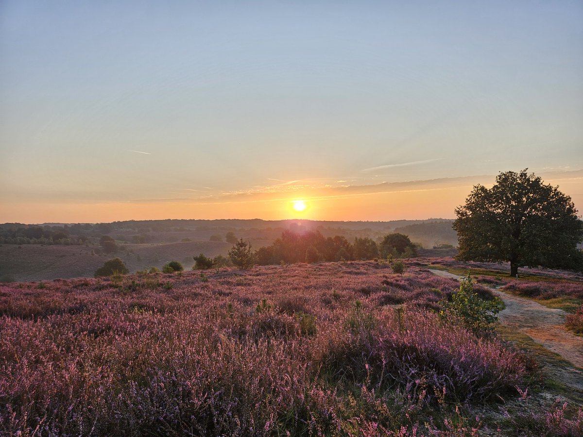 Good morning all. How did you start your day? 

The last day of our 3 day leadership program starts with expressing the intention for the how, from now on. Amazing to start the day with this beautiful sunrise. Make the most of your day! 

#presenceoutdoor #disconnecttoconnect